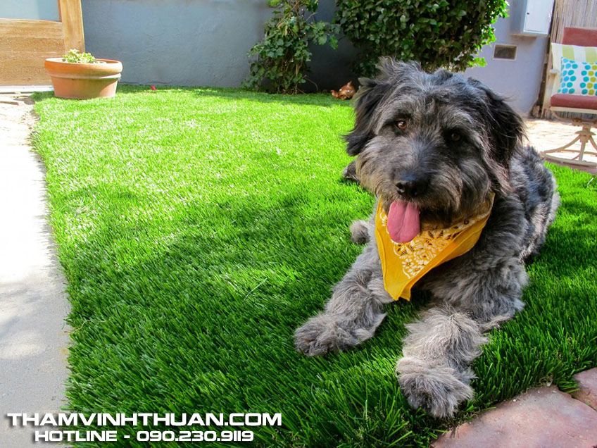 Công dụng thảm Cỏ Nhân Tạo 3 1