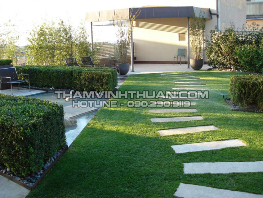 Công dụng thảm Cỏ Nhân Tạo 30 mm